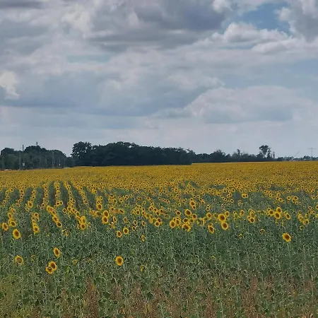 Kemping U Szreka Kołczewo