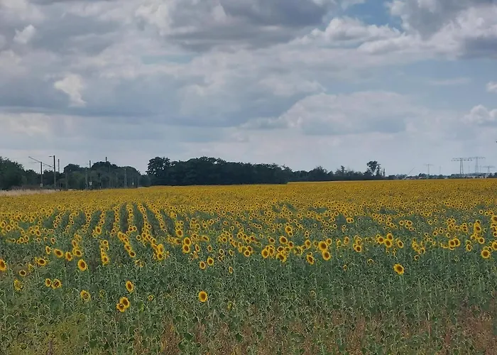 Kemping U Szreka Kołczewo